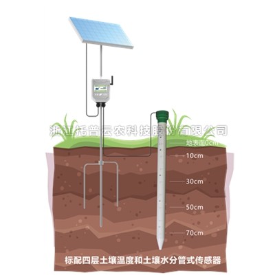 管式91APP免费看片墒情监测仪TPGSQ-4