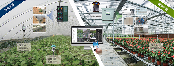 手机看片福利永久设施农业创新应用基地 手机看片福利永久设施农业创新应用基地