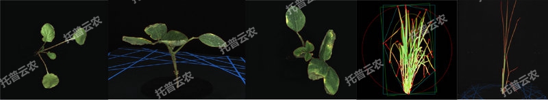 1763627560620519.jpg 逆境模拟及植物生长监测平台-2维.jpg