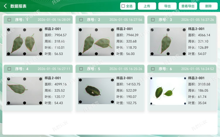1767679554868650.jpg 数据查看 - 副本.jpg