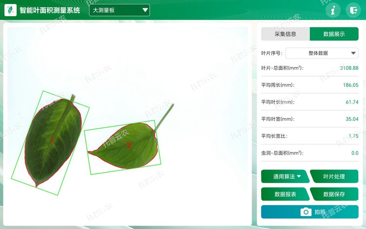 1767679573497313.jpg 叶片分析 - 副本.jpg