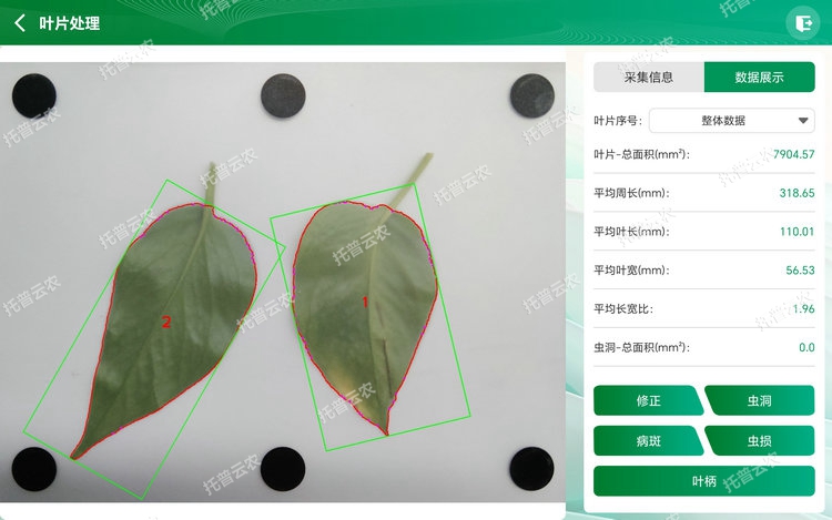1767679593400786.jpg 整体分析 - 副本.jpg