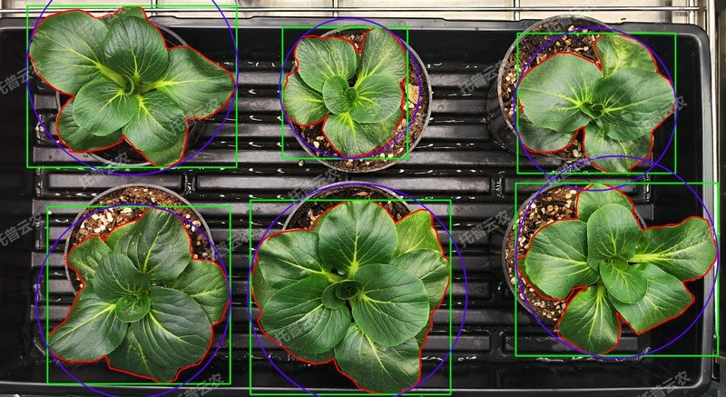1772702682463497.jpg 表型分析-环控型植物生长表型分析系统.jpg