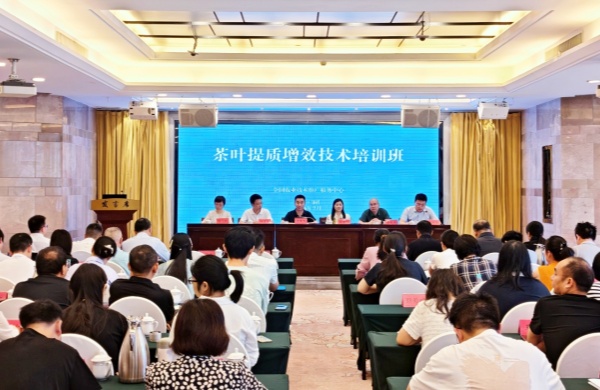 1783932942143900.jpg 1.现场培训图_副本.jpg